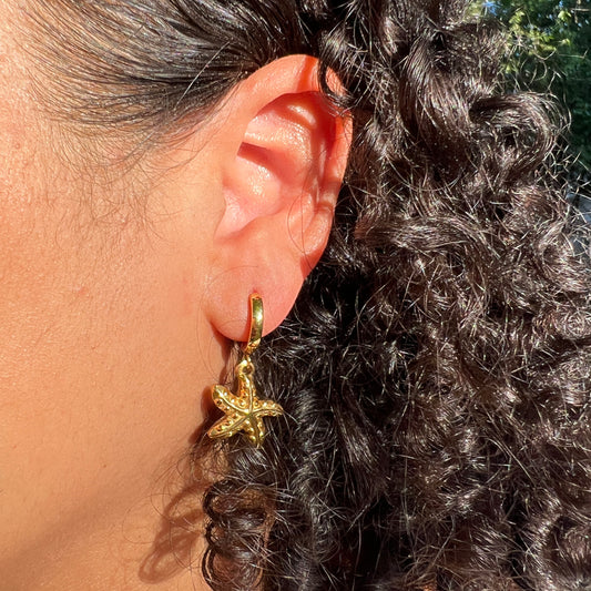 Starfish Earrings image 1