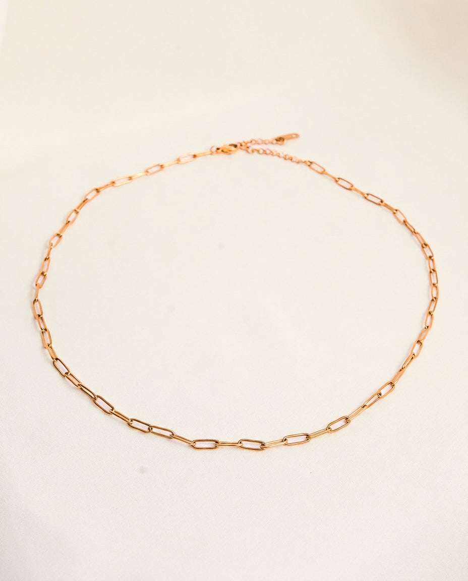 Paper Clip Necklace