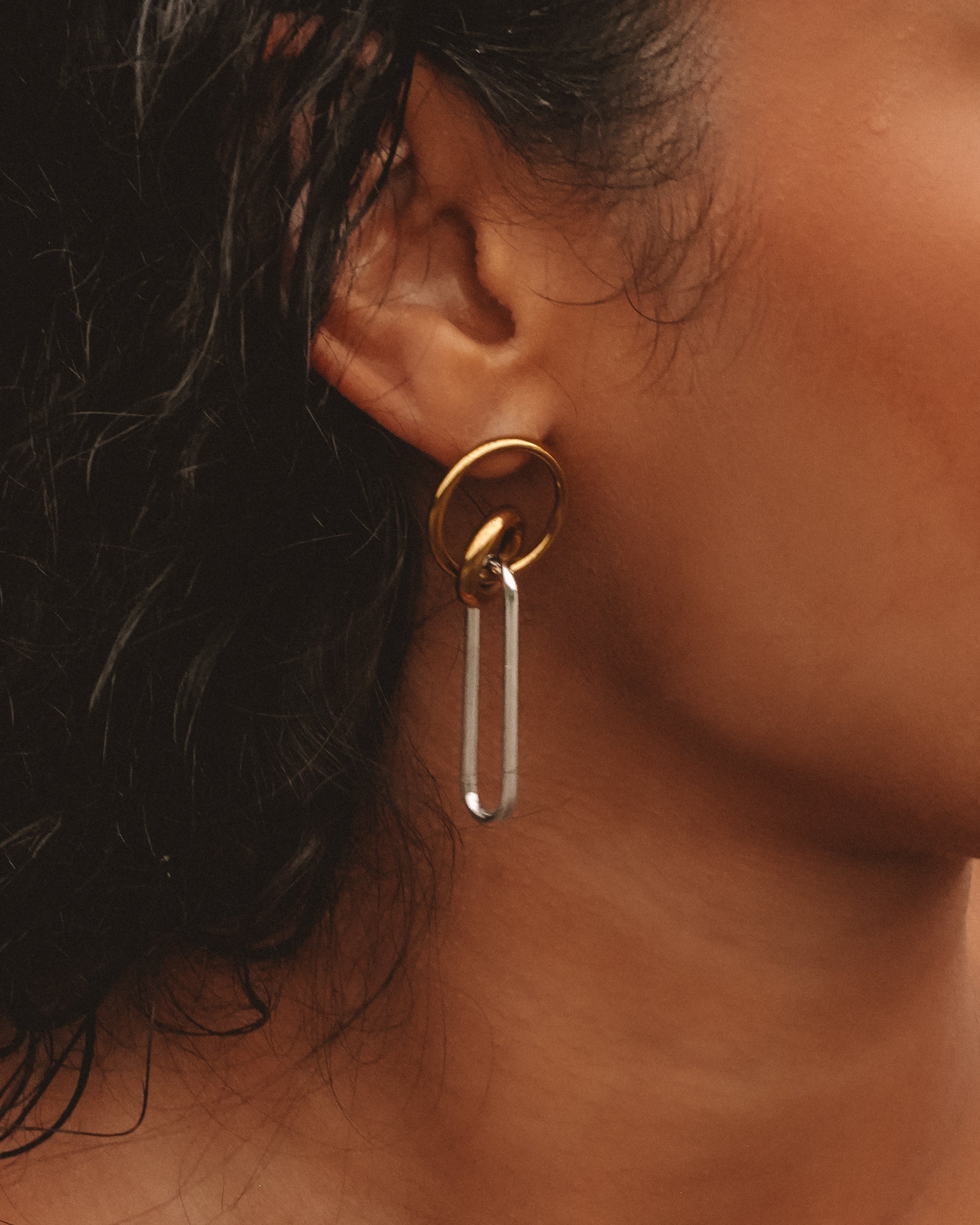 Mixed Metal Link Earrings