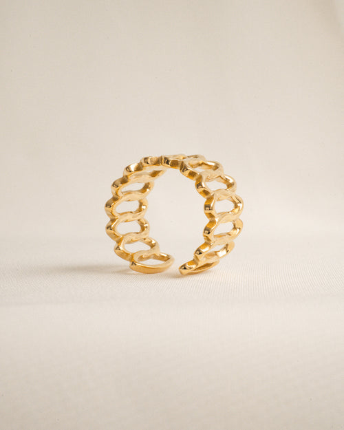 Abstract Cage Ring