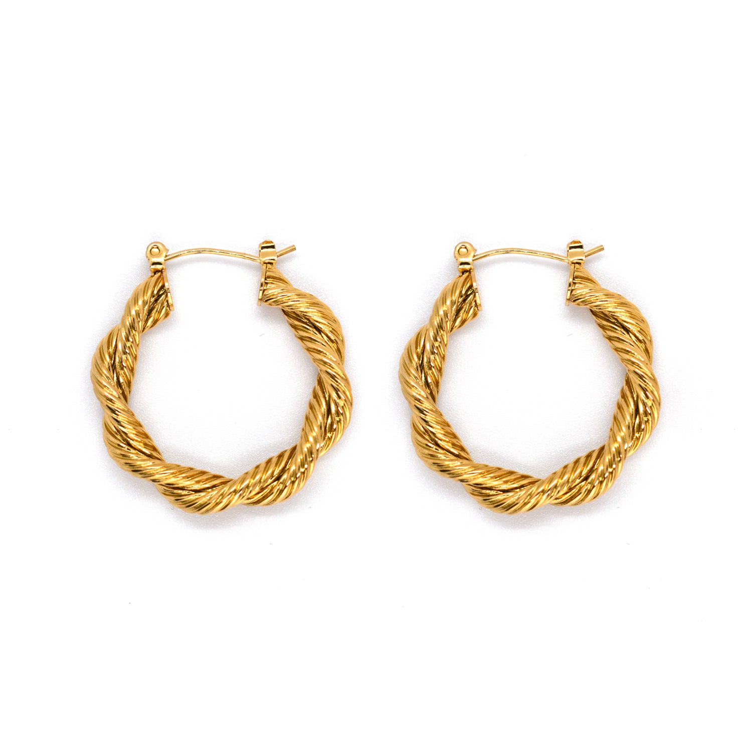 Twisted Hoop image 0