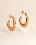 Lustre Curve Earrings