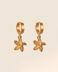 Starfish Earrings